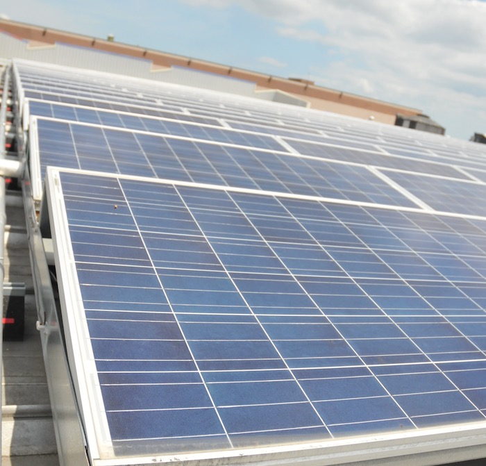 JFK Community Solar Image 5